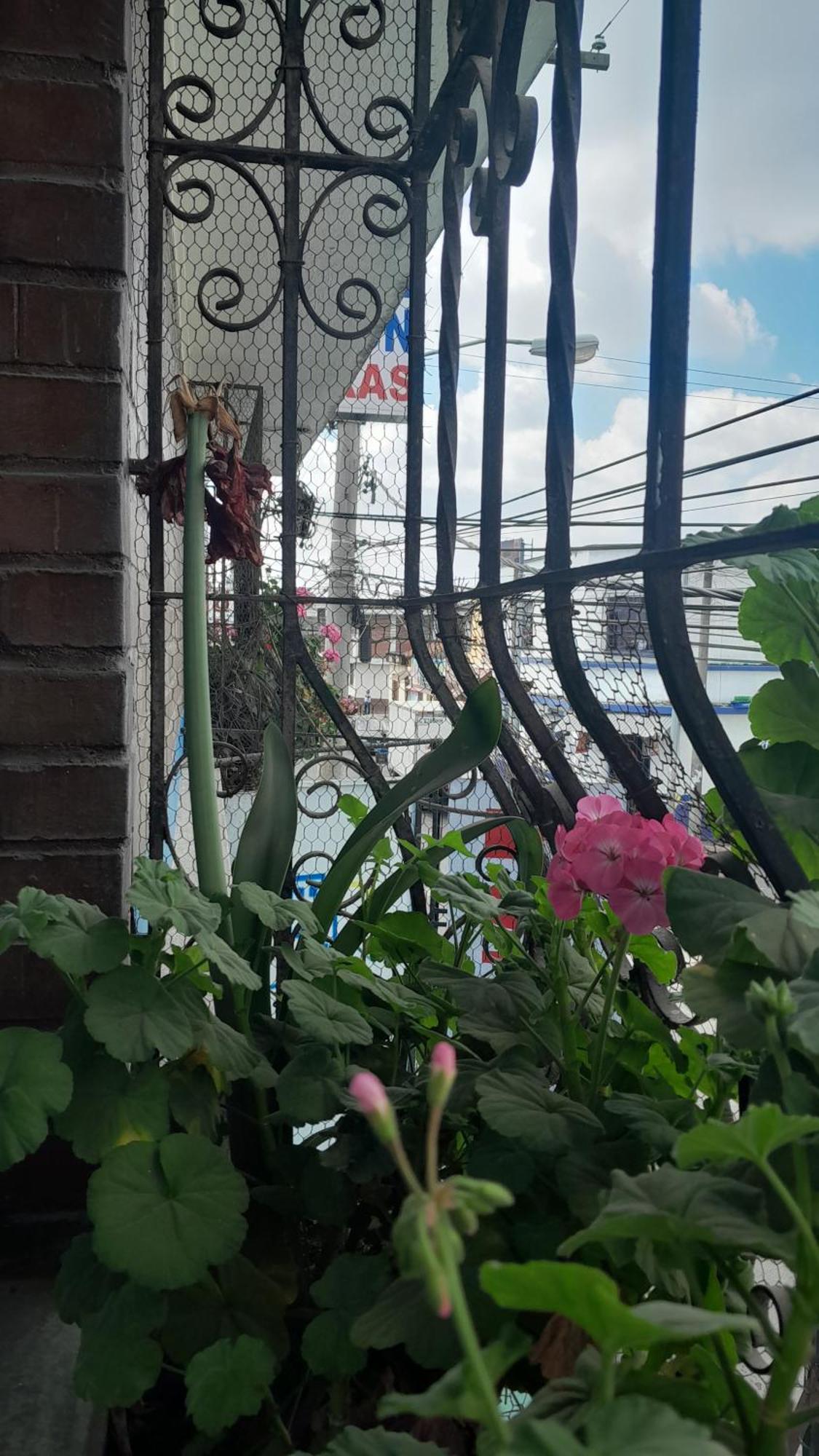 Hotel El Meson Guatemala Exterior photo